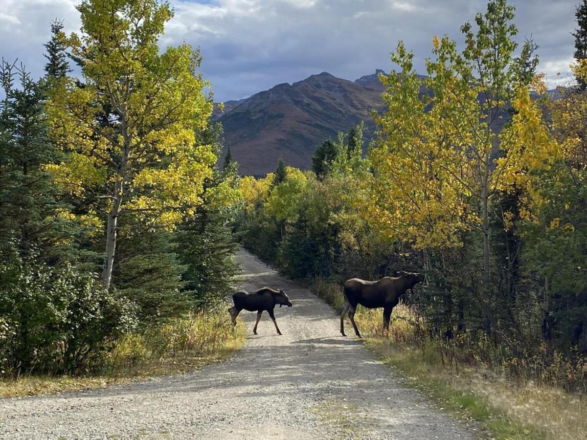 Denali Park View Family Log Cabin Zewnętrze zdjęcie
