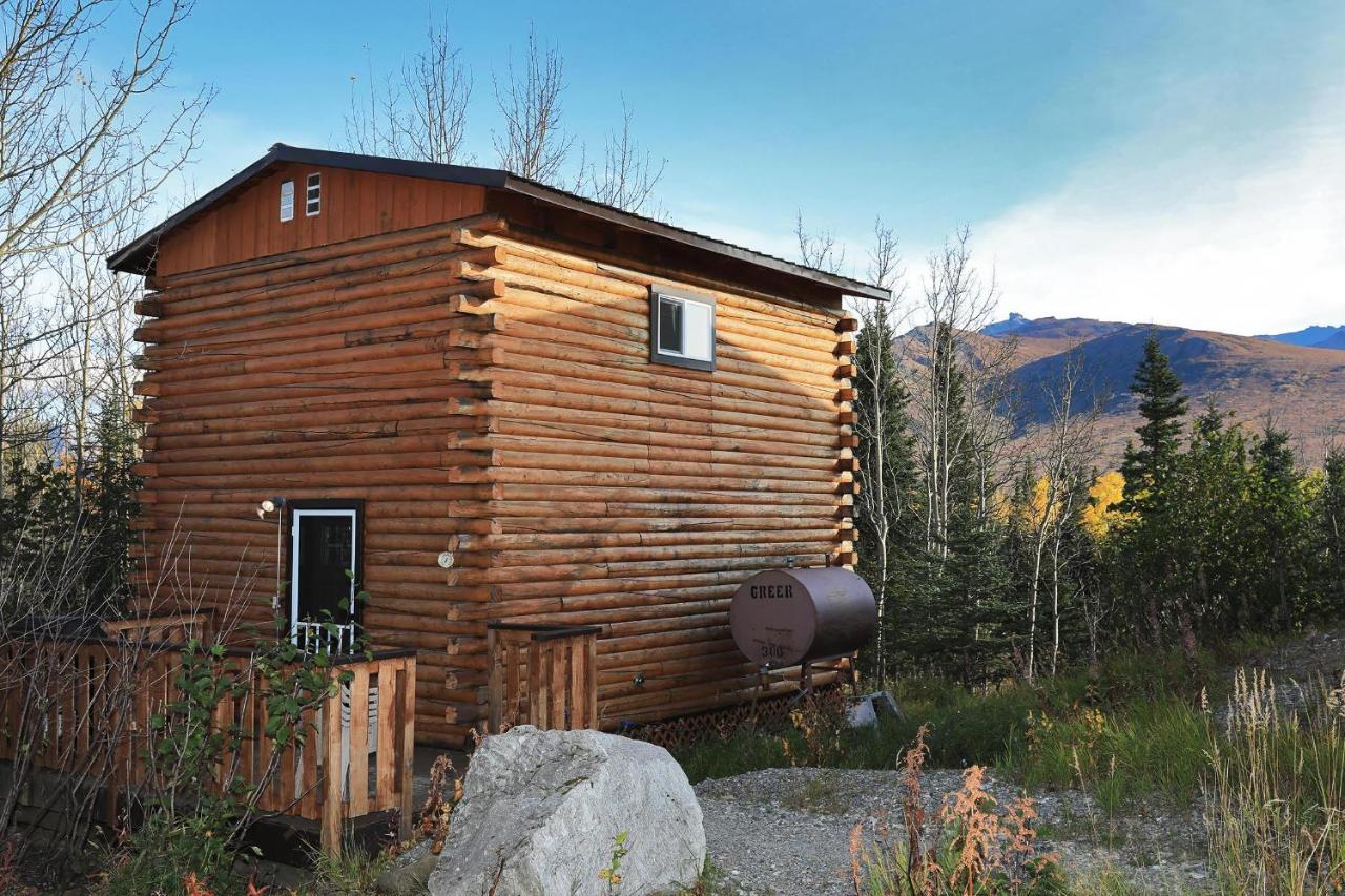 Denali Park View Family Log Cabin Zewnętrze zdjęcie